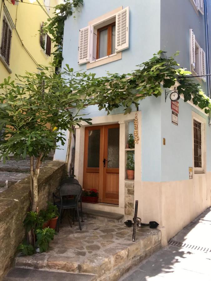 Apartament Dionea Piran
